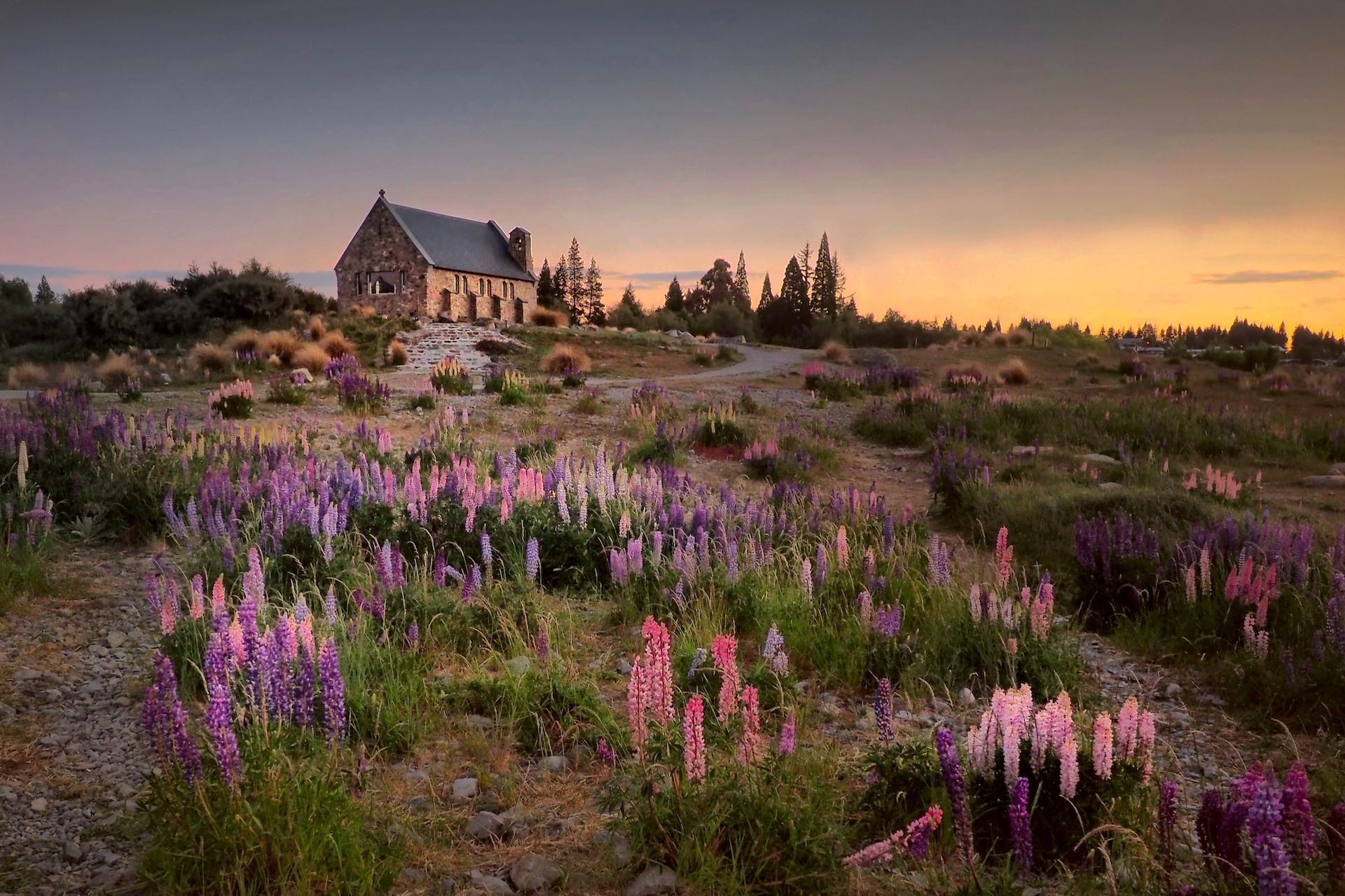Splendid South - 7 day South Island Tour including Queenstown and Wanaka